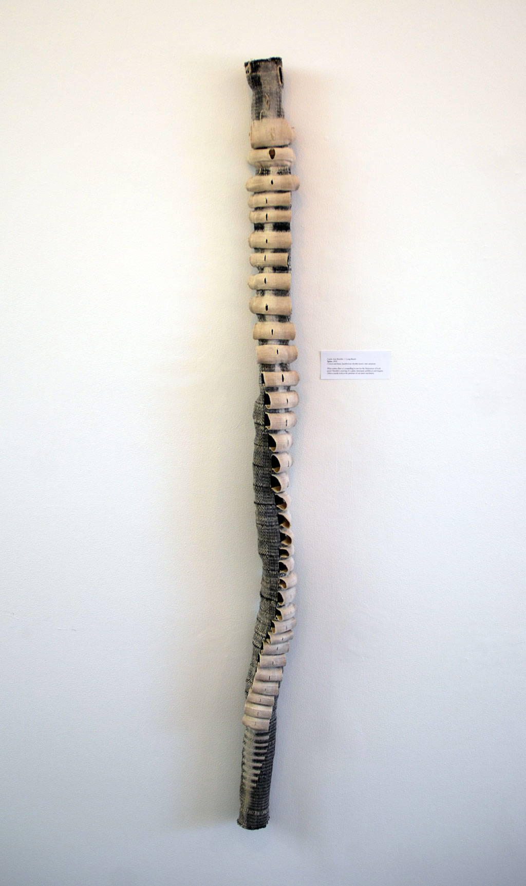 Carrie Ann Burckle, "Spine"