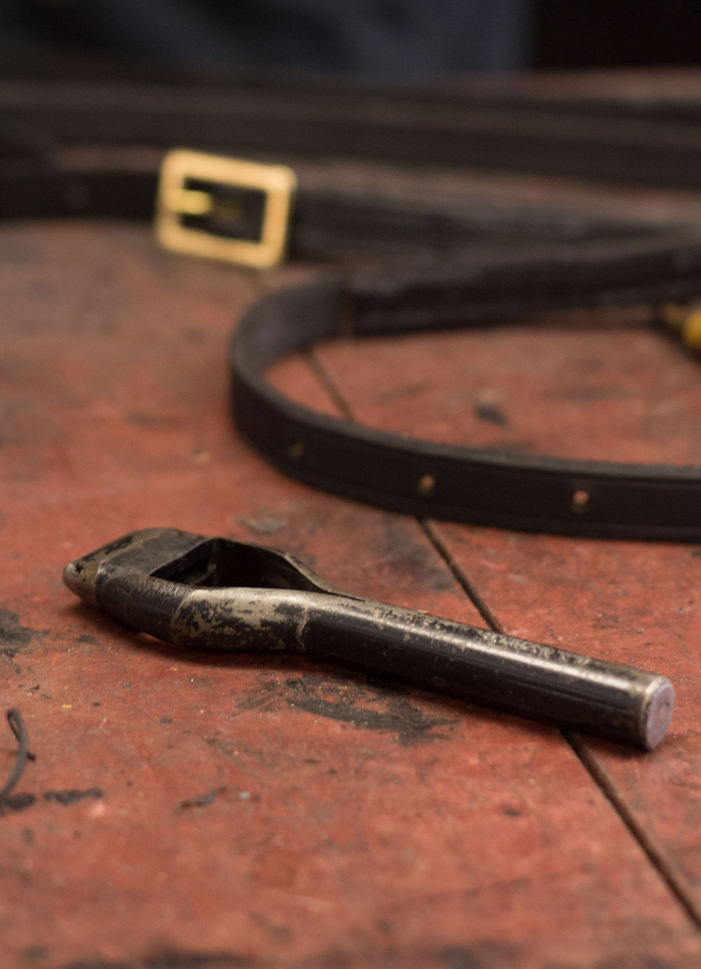 Leather tack and tools, Mark Markley photograph