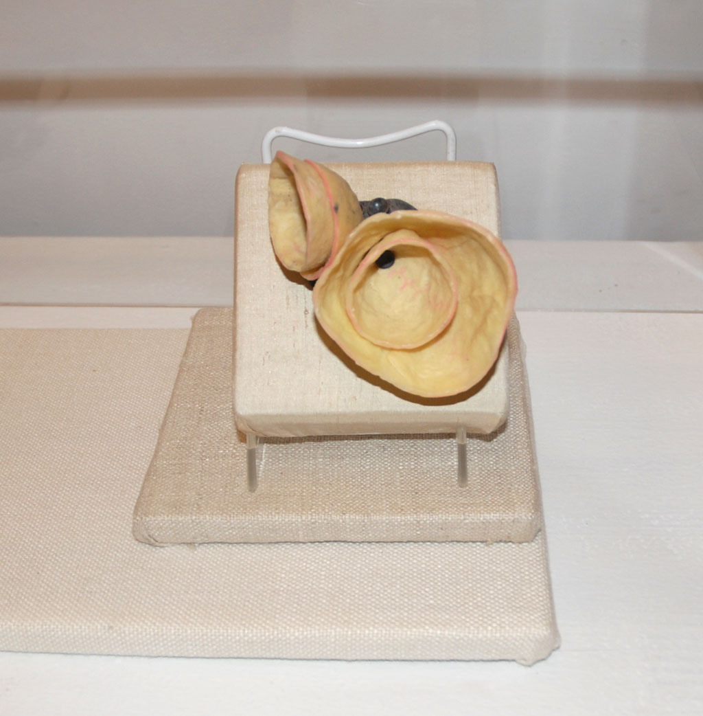 Laura Wood, Sweet Potato Brooch, 2009. Handmade paper, sterling silver, color pencil, wax, and steel. Collection of Tara Locklear