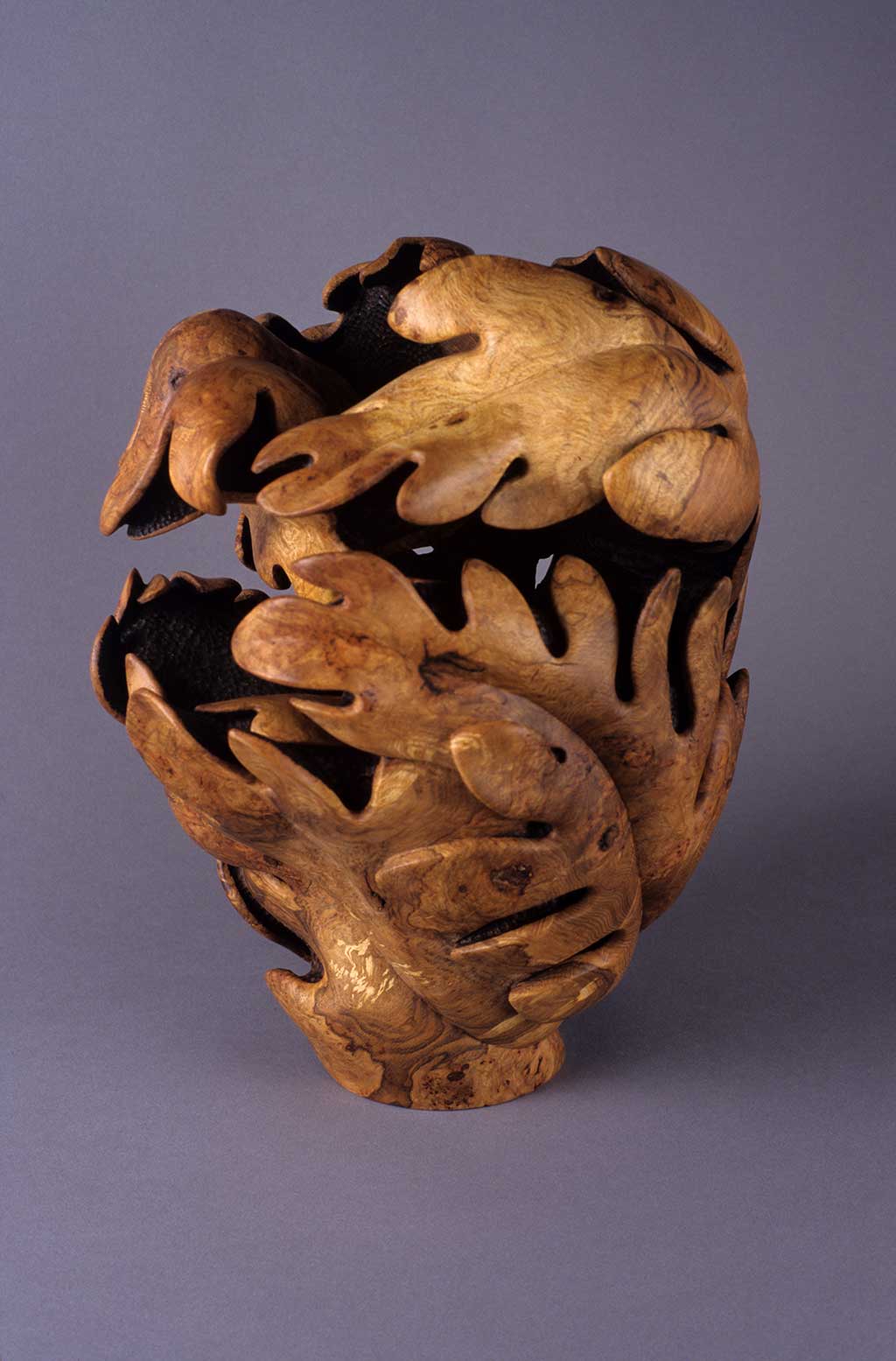 Michelle Holzapfel, Quercus Vase, 1998