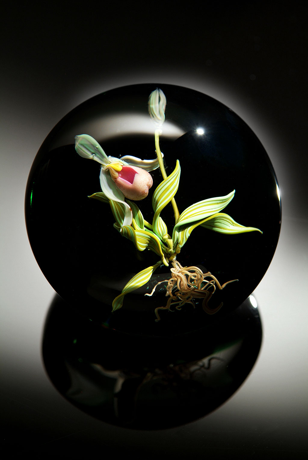 Katherine Stankard Campbell, Paphiopedilum Orchid Paperweight, 2008. Douglas Schaible photograph