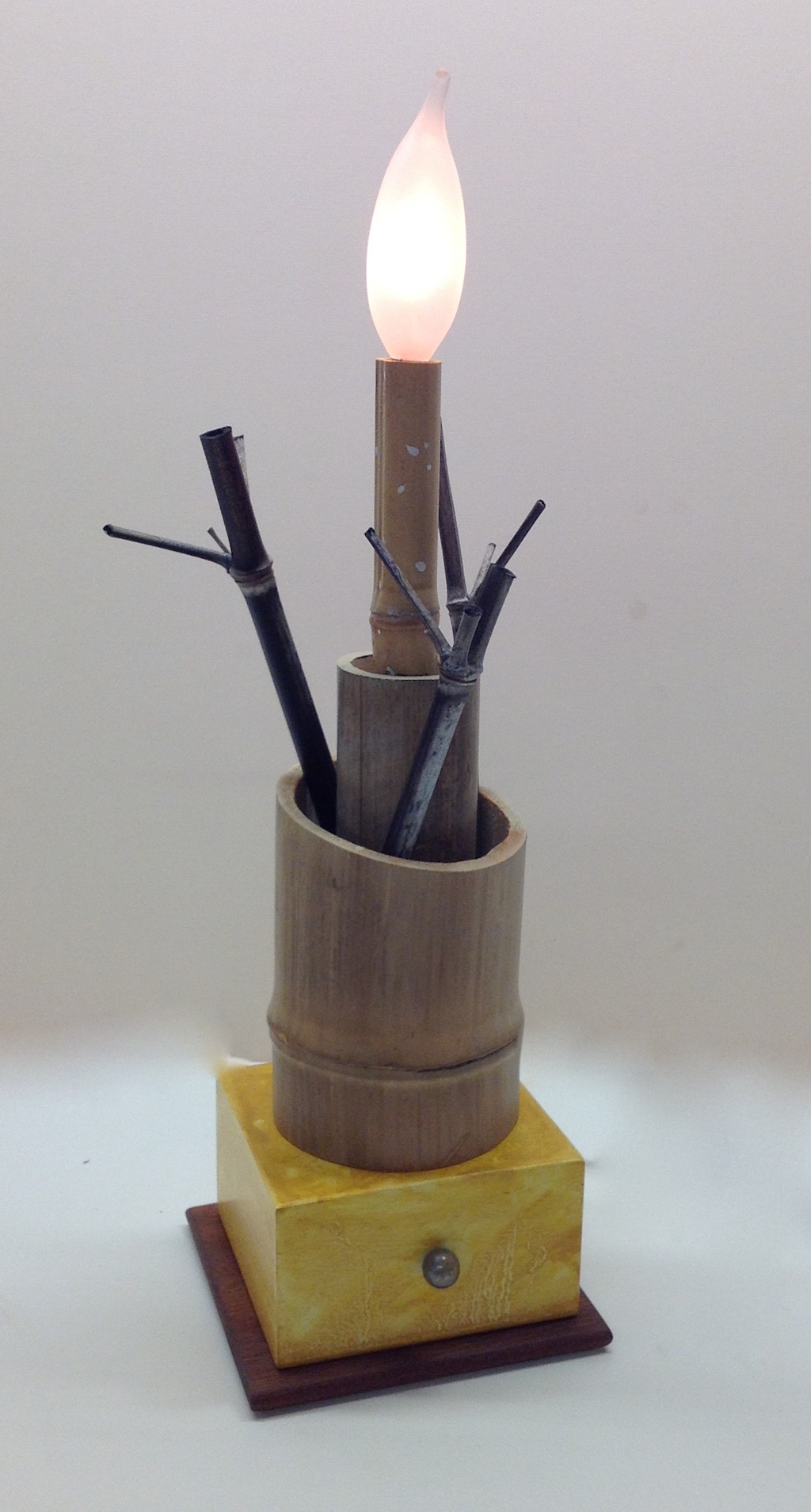 Garry Knox Bennett, "Bamboo Container with One Light and Stems"