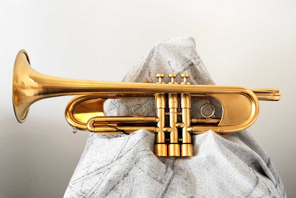 David Monette, Monette RAJA Trumpet, 2015, brass, nickel, monel, btyshed 24k gold finish.