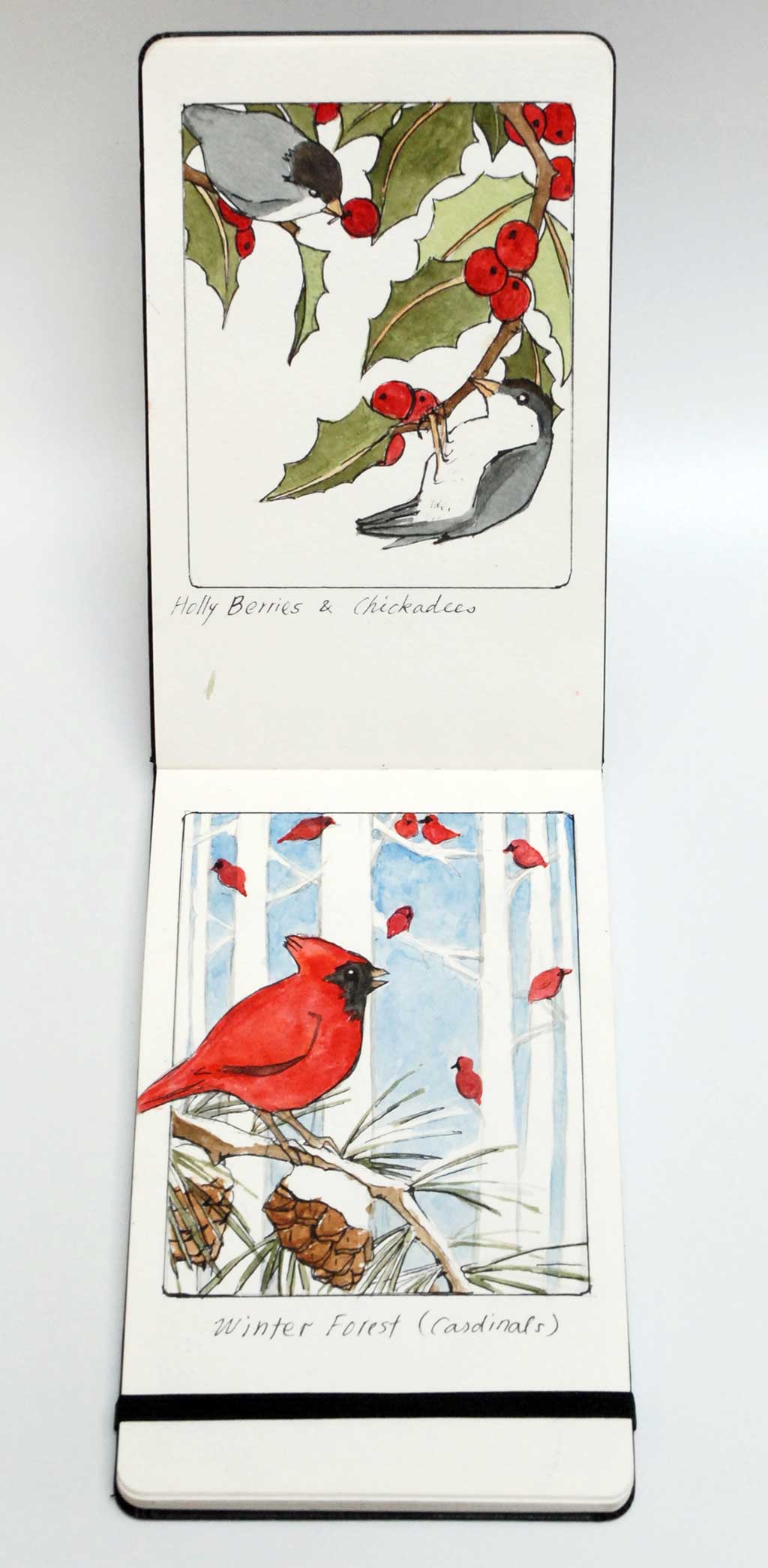 Yoshiko Yamamoto, Winter Cardinals sketches