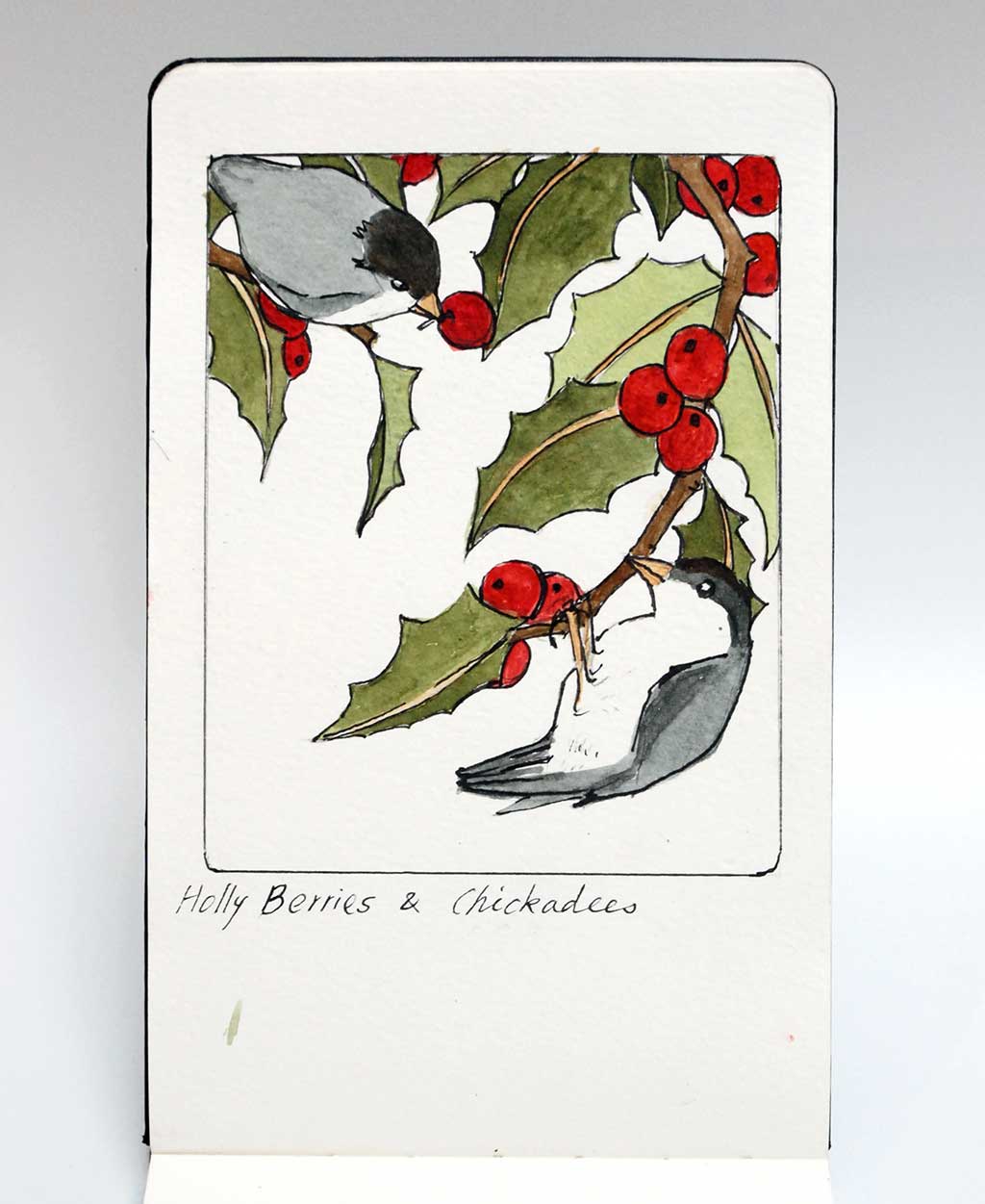 Yoshiko Yamamoto, Winter Cardinals sketch