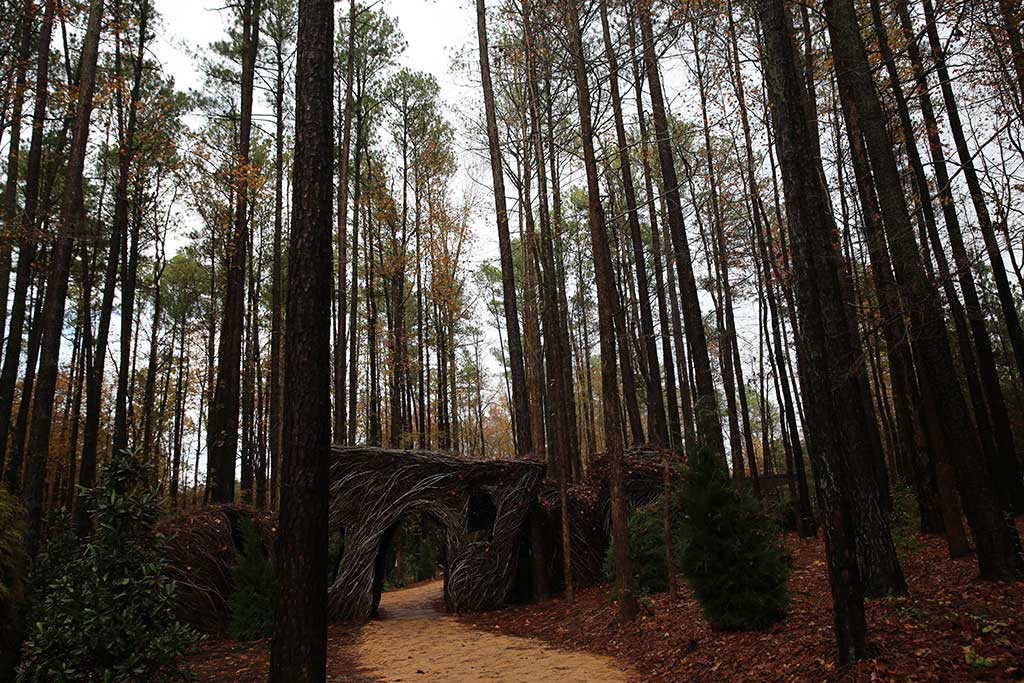 Dougherty's Sweetgum Thicket sculpture at the Museum of Life and Science in Durham, NC