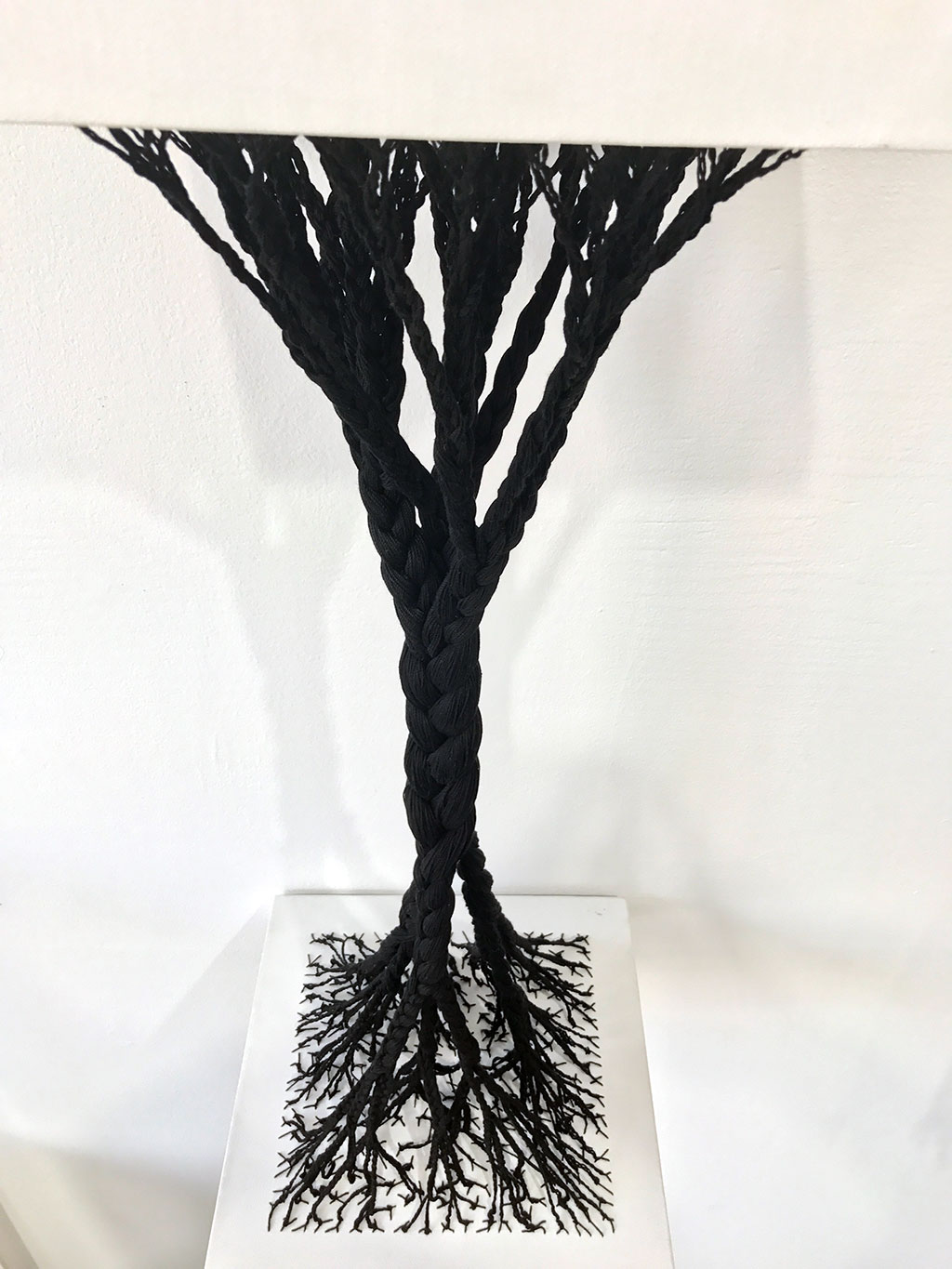 Sonya Clark, Rooted and Uprooted, 2017