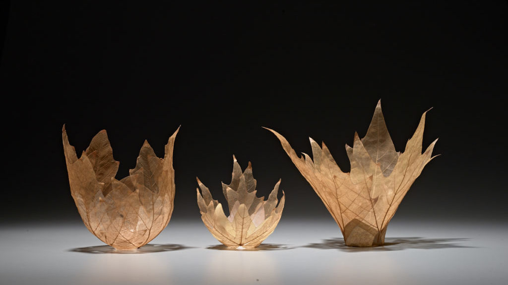 Kay Sekimachi Leaf Bowls