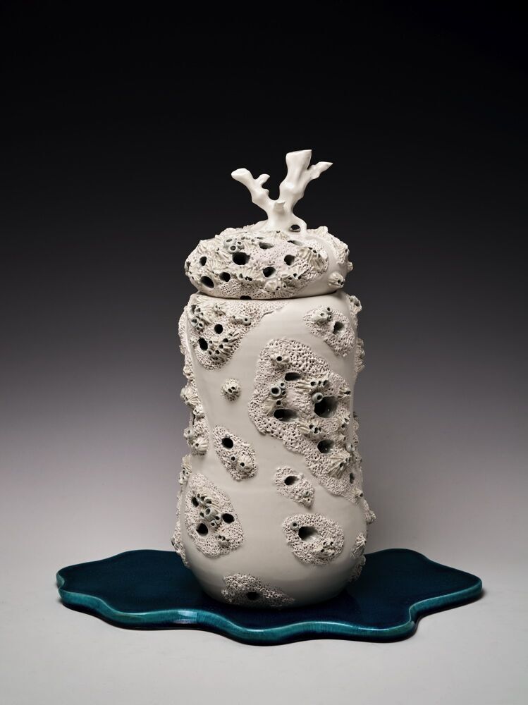 Joan Takayama-Ogawa, Madagascar Coral Reef, 2018, AMOCA Collection, Craft in America