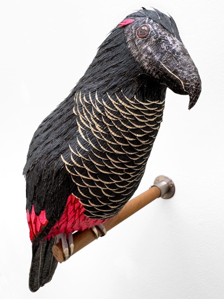 Craft in America, Roberto Benavidez, Dracula Parrot, 2020