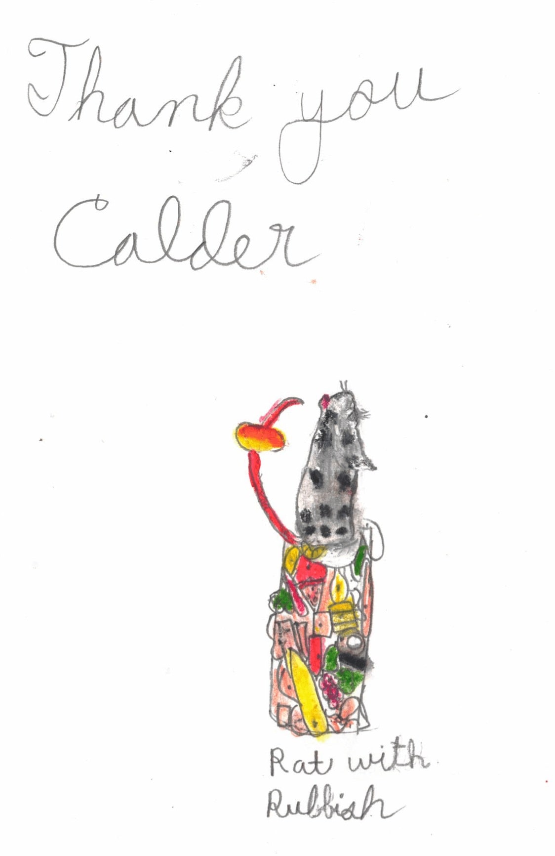 Rosewood+Calder "Rat with Rubbish" pencil and pastel illustration, the rat is grey and black, sitting atop many colorful food items illustration