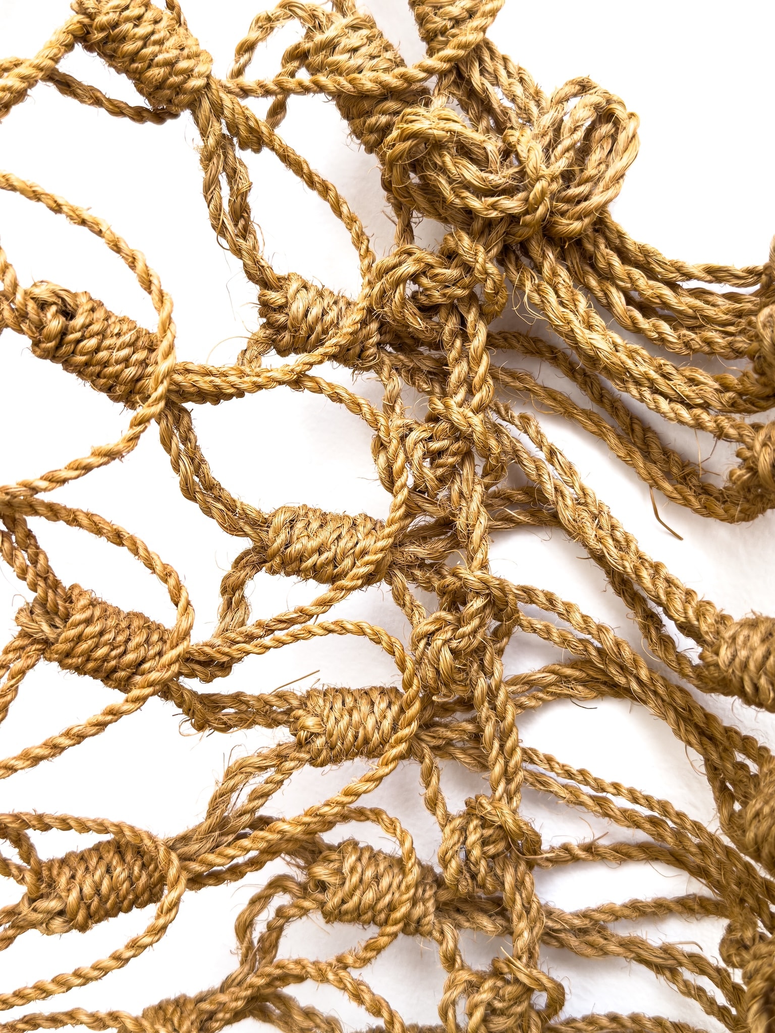 Craft in America Center, Marques Hanalei Marzan, Entwine, 'A'ahu Series #68, Detail, 2018