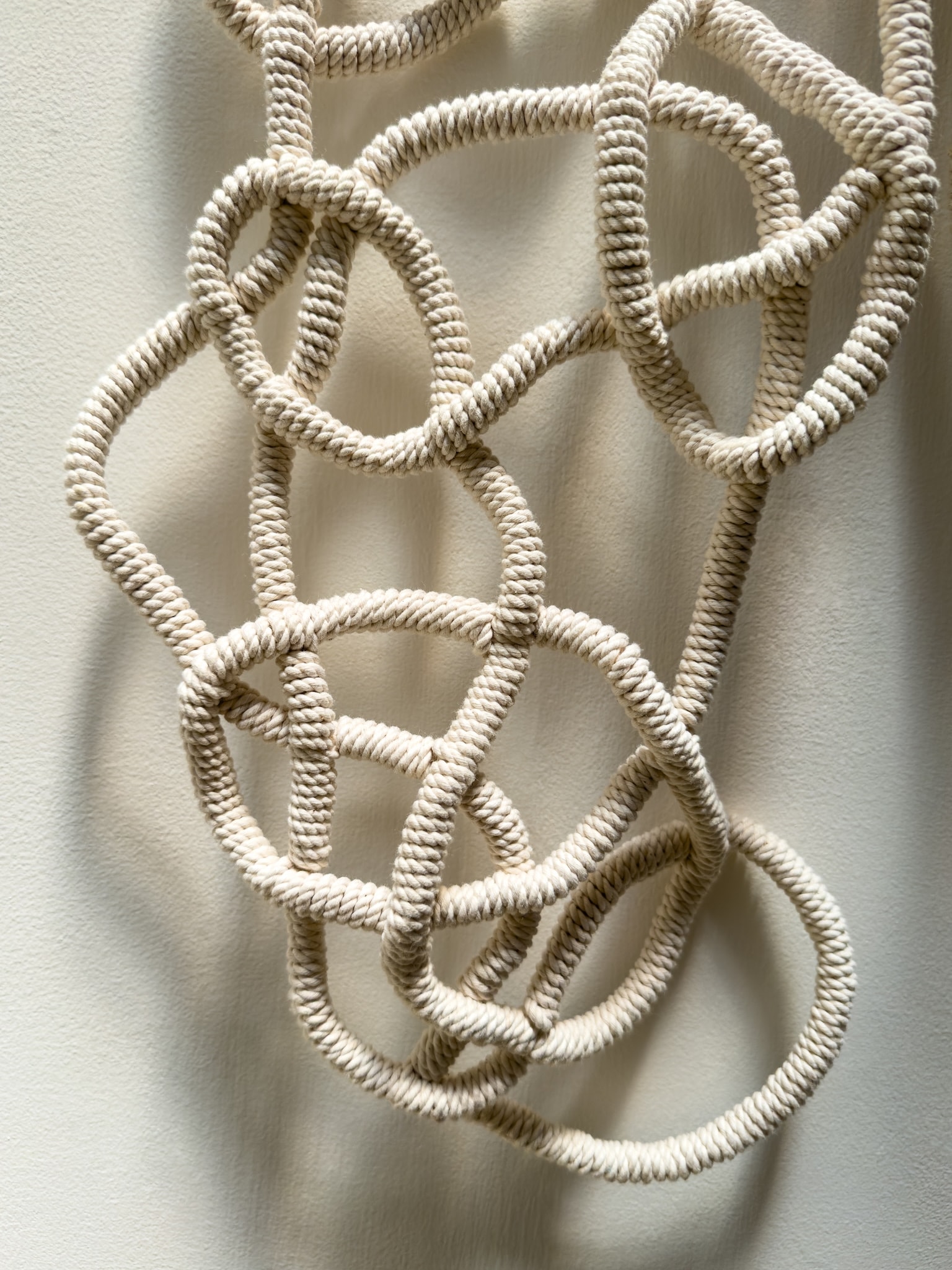 Craft in America Center, Marques Hanalei Marzan, Entwine, 'A'ahu Series #99, detail, 2022