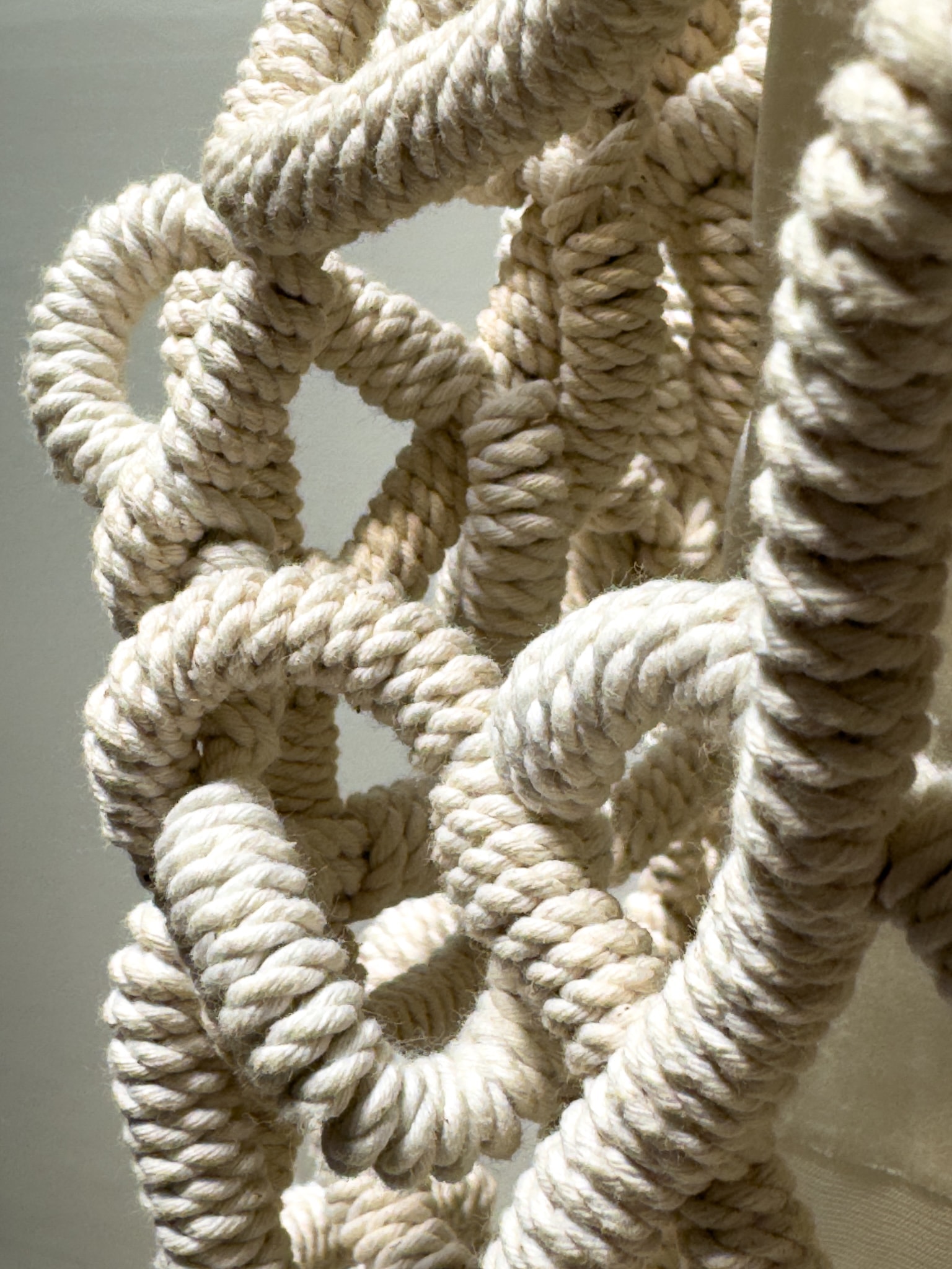 Craft in America Center, Marques Hanalei Marzan, Entwine, 'A'ahu Series #99, detail, 2022