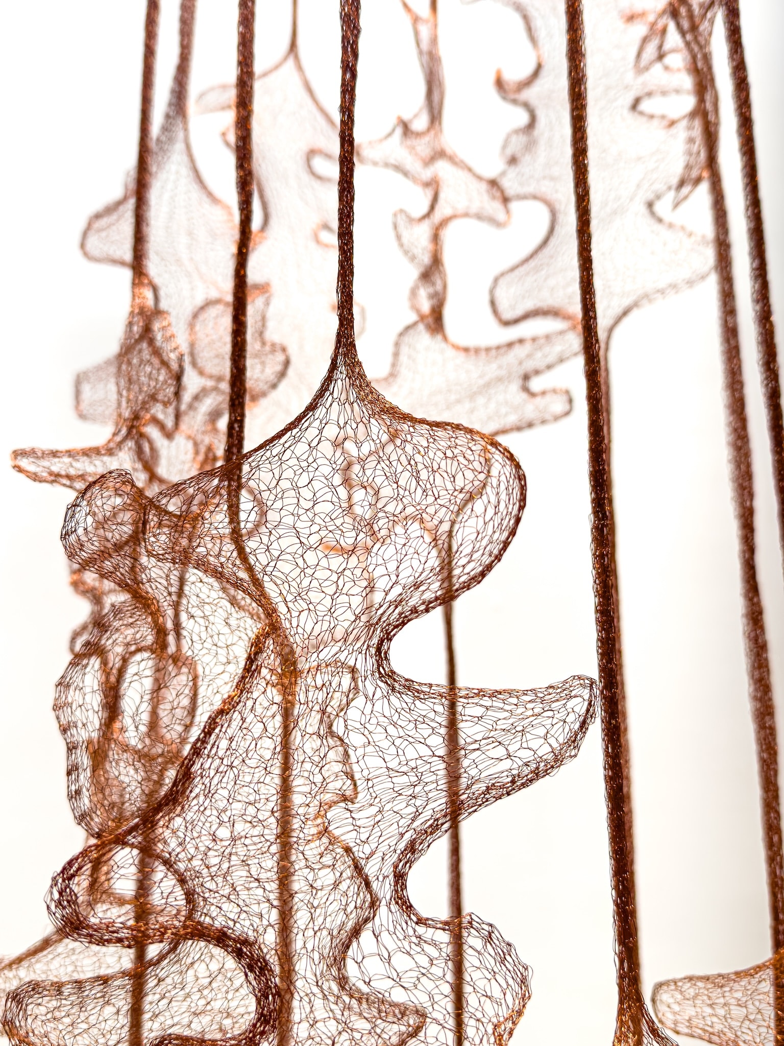 Craft in America Center, Marques Hanalei Marzan, Entwine, Suspended Animation, detail, 2026