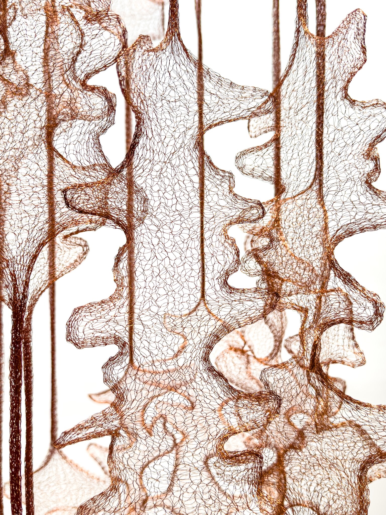 Craft in America Center, Marques Hanalei Marzan, Entwine, Suspended Animation, detail, 2026