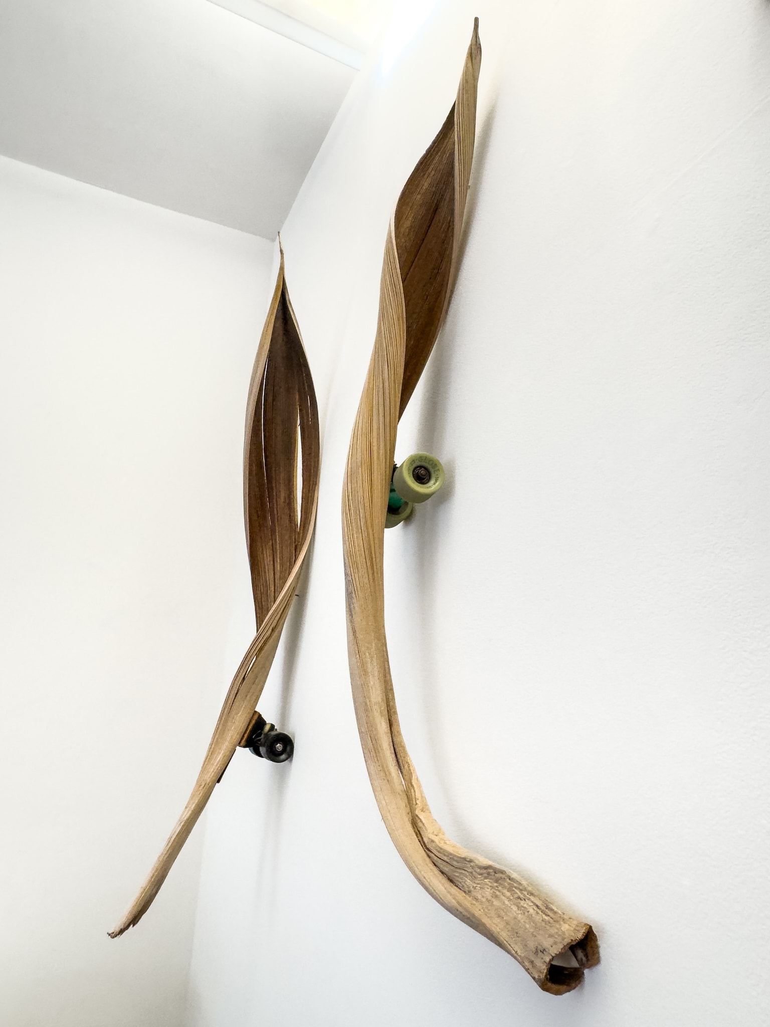 Craft in America Center, Mark Farina, Palm Gliders, installation view, Vehicles of Expression